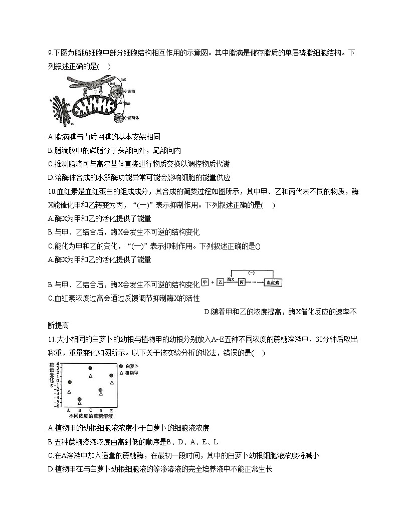宁夏回族自治区石嘴山市第三中学2025_2026学年高三上学期11月期中生物试题（含答案）第3页