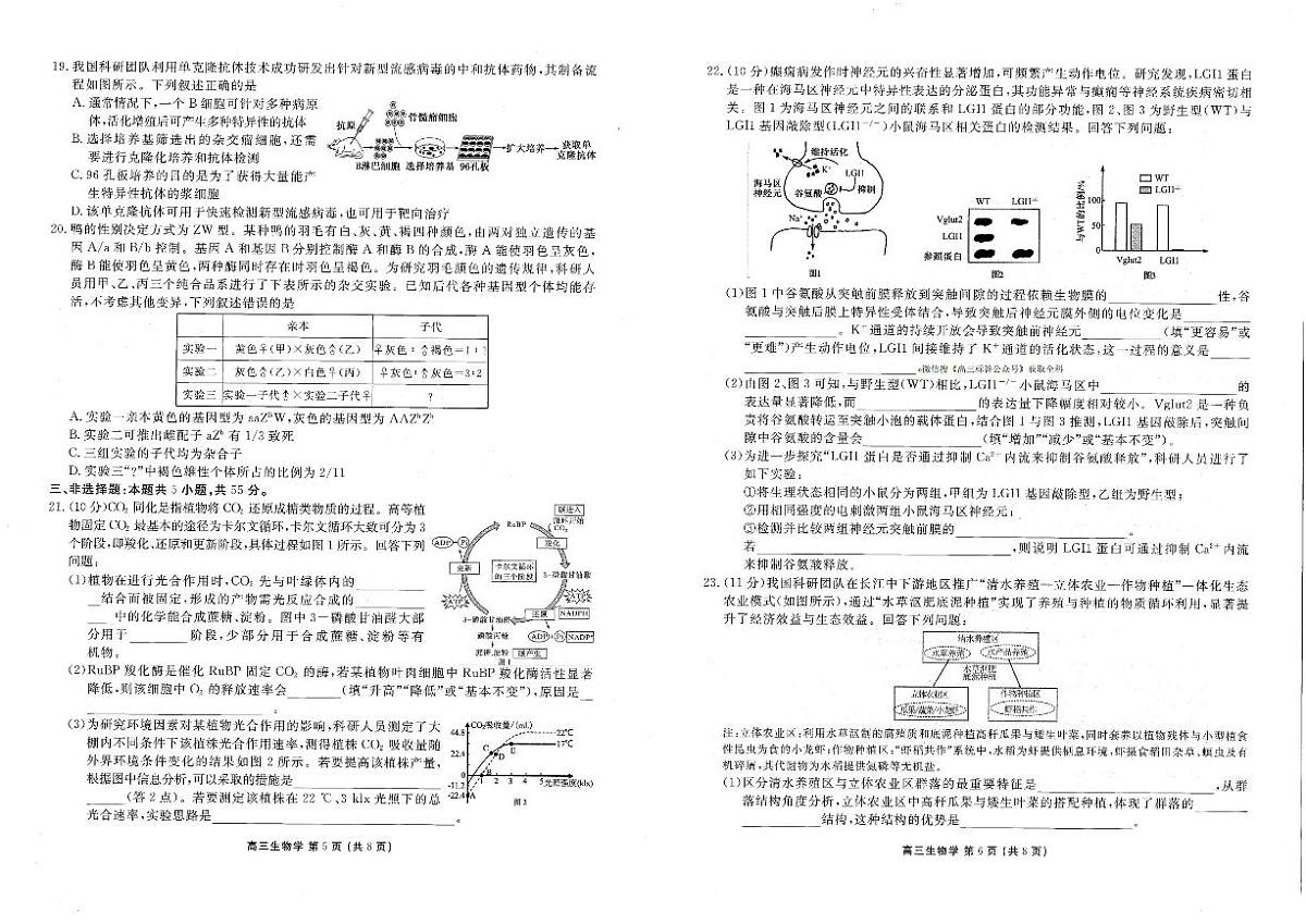 生物-辽宁省点石联考2026届高三年级3月学情调研考试试卷及答案第3页
