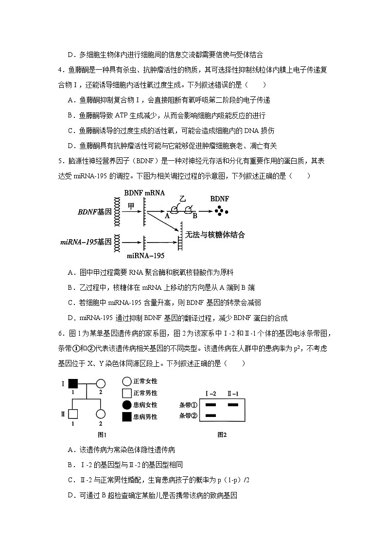 2026年山西省晋城市部分学校高三一模生物试题（附答案解析）第2页
