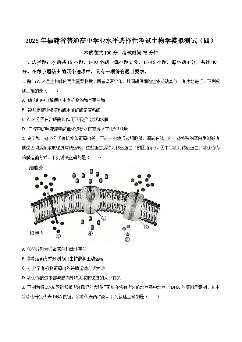 福建省普通高中2026届高三下学期学业水平选择性考试模拟测试（四）生物试卷（含答案）第1页