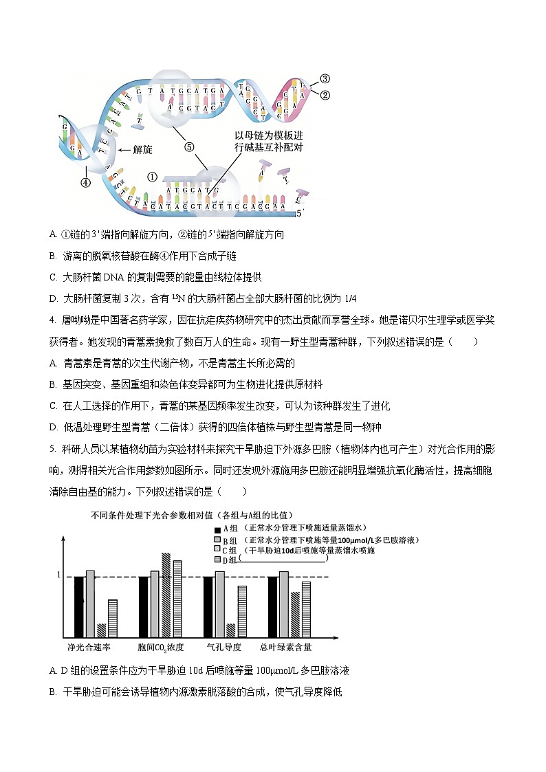 福建省普通高中2026届高三下学期学业水平选择性考试模拟测试（四）生物试卷（含答案）第2页