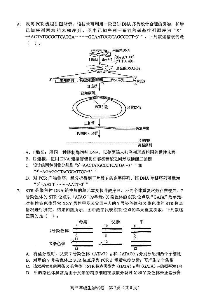 2026年天津市和平区高三下学期一模生物试卷和答案第2页