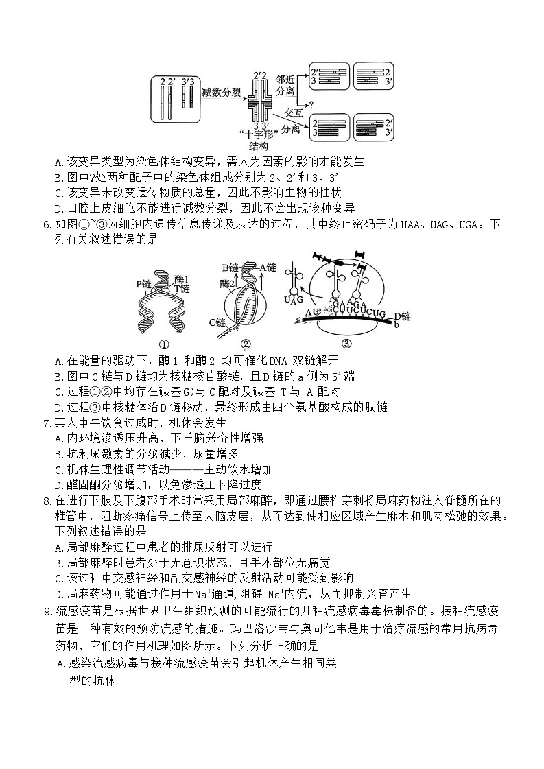 河北省张家口市2025-2026年高三下3月模拟生物学试卷（含答案）第2页