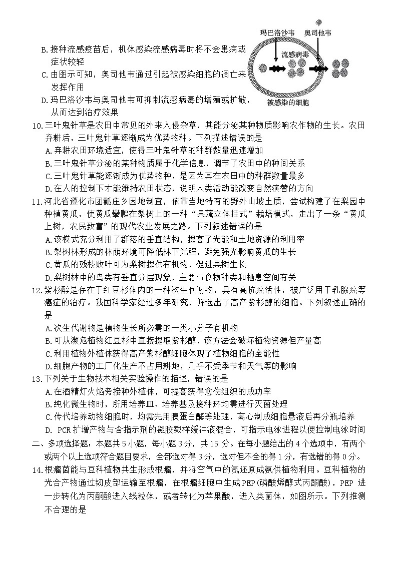 河北省张家口市2025-2026年高三下3月模拟生物学试卷（含答案）第3页