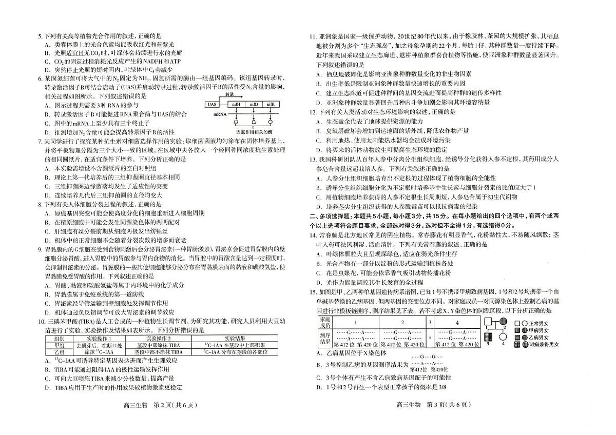 河北石家庄2025-2026学年下学期高三高考一模生物试卷含答案第2页