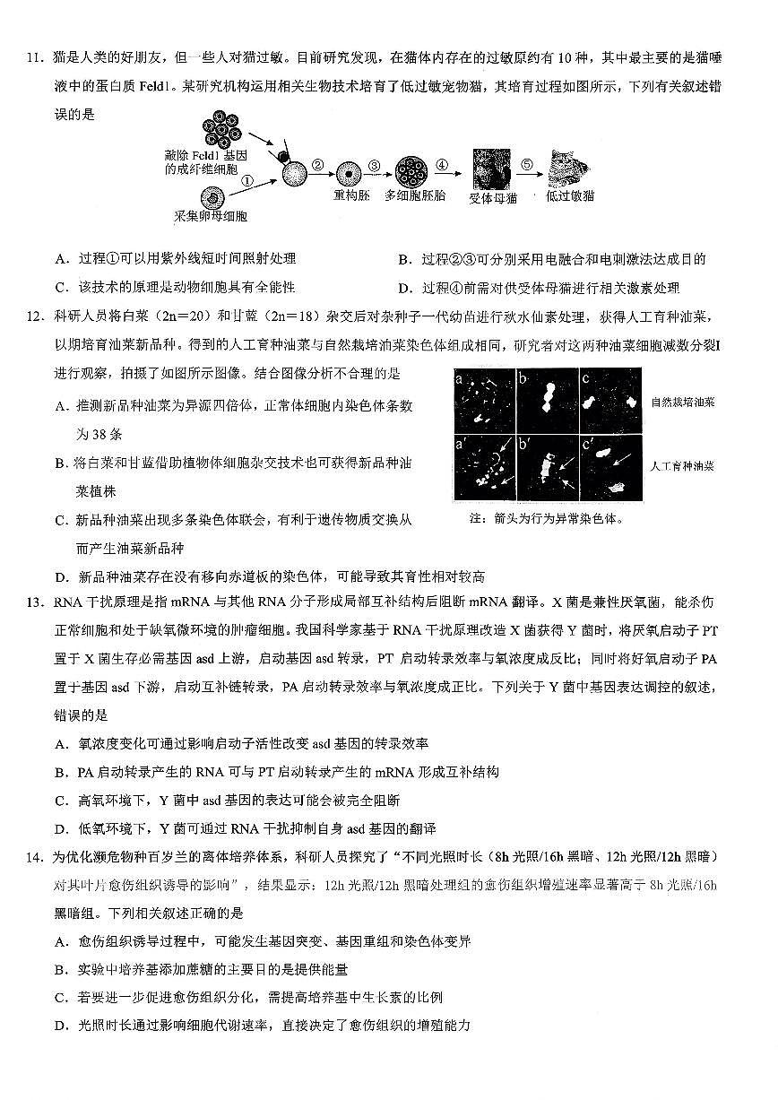 重庆市2026年普通高等学校招生全国统一考试康德高考模拟调研（三）生物试题（含答案）第3页