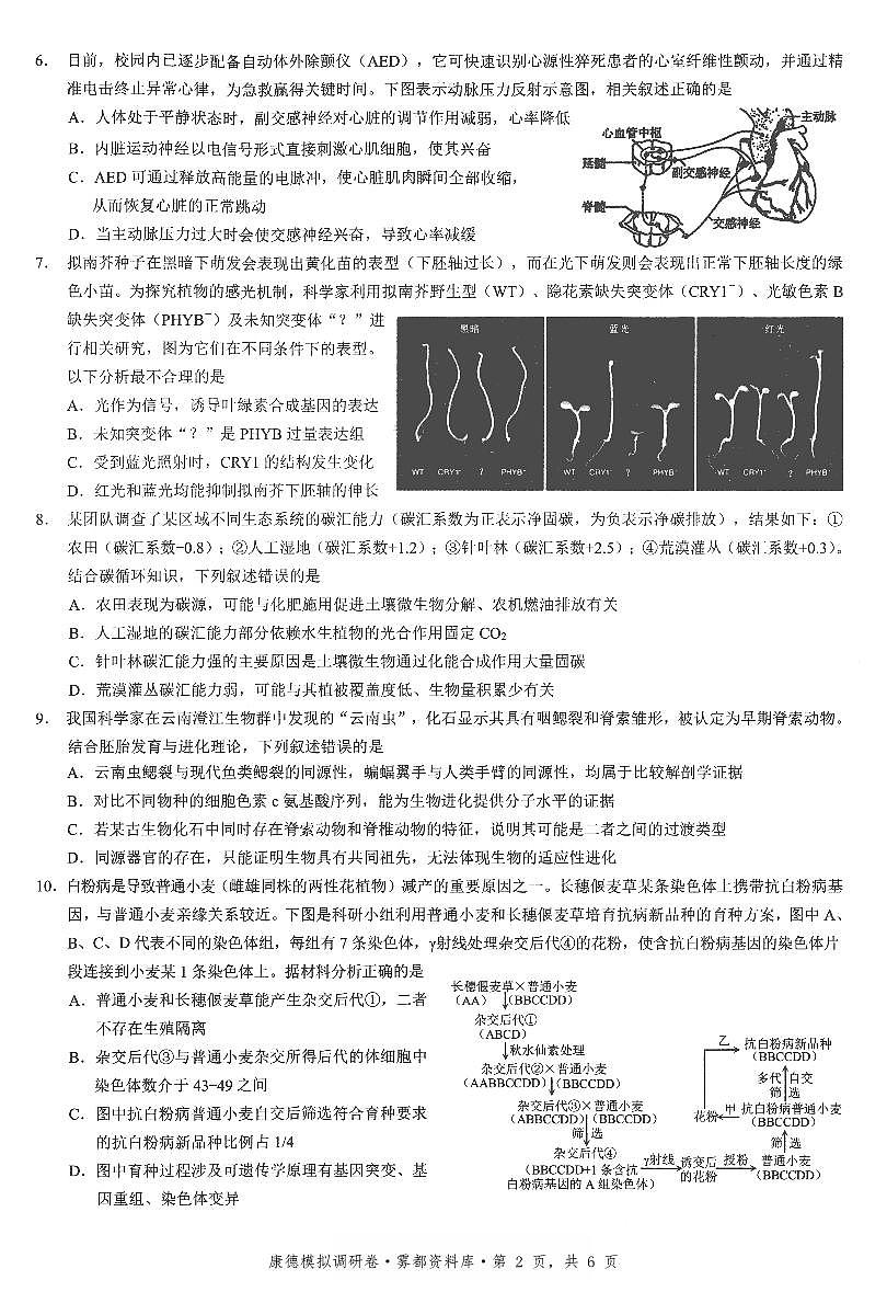 重庆康德联考2026届高三下学期3月月考联考三生物试卷含答案第2页