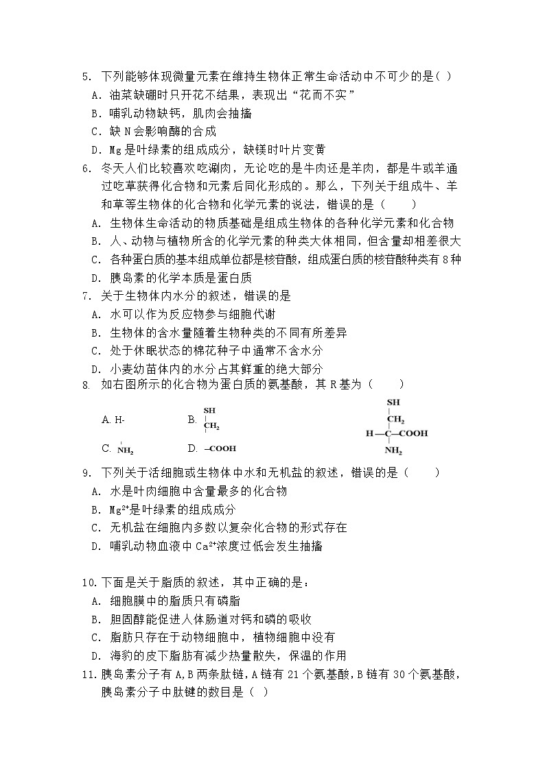 海南省海口市第四中学2019-2020年高一上学期期中考试生物试卷第2页