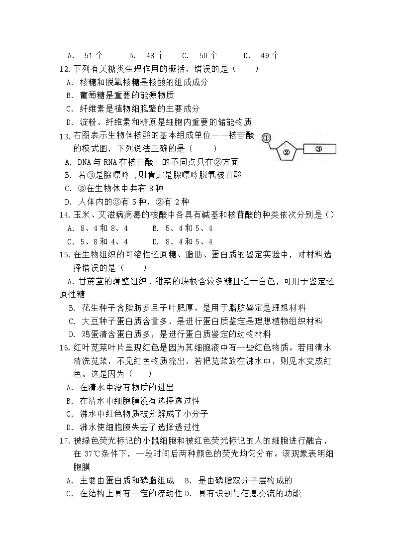 海南省海口市第四中学2019-2020年高一上学期期中考试生物试卷第3页