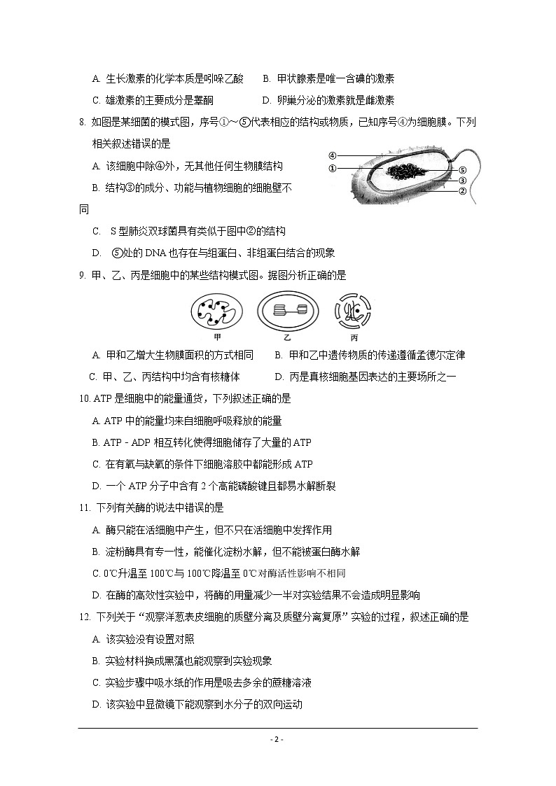 浙江省丽水四校2019-2020学年高二上学期期中联考生物试题02