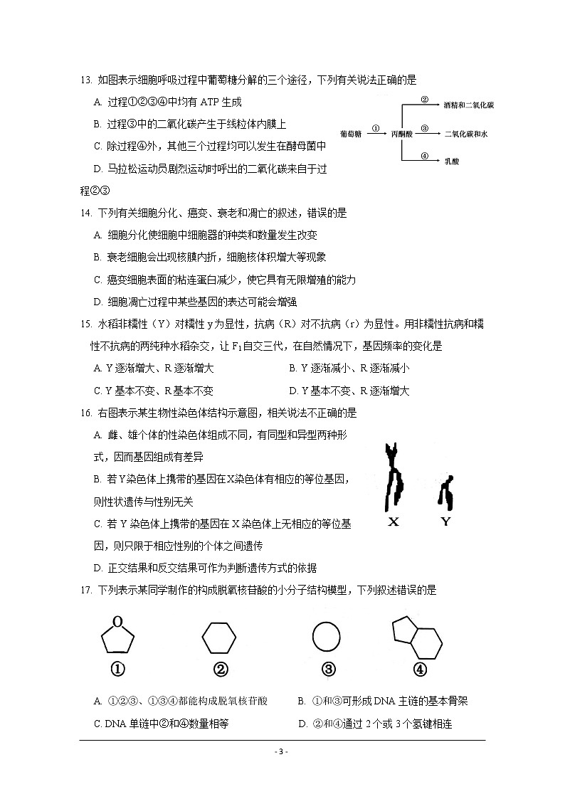 浙江省丽水四校2019-2020学年高二上学期期中联考生物试题03