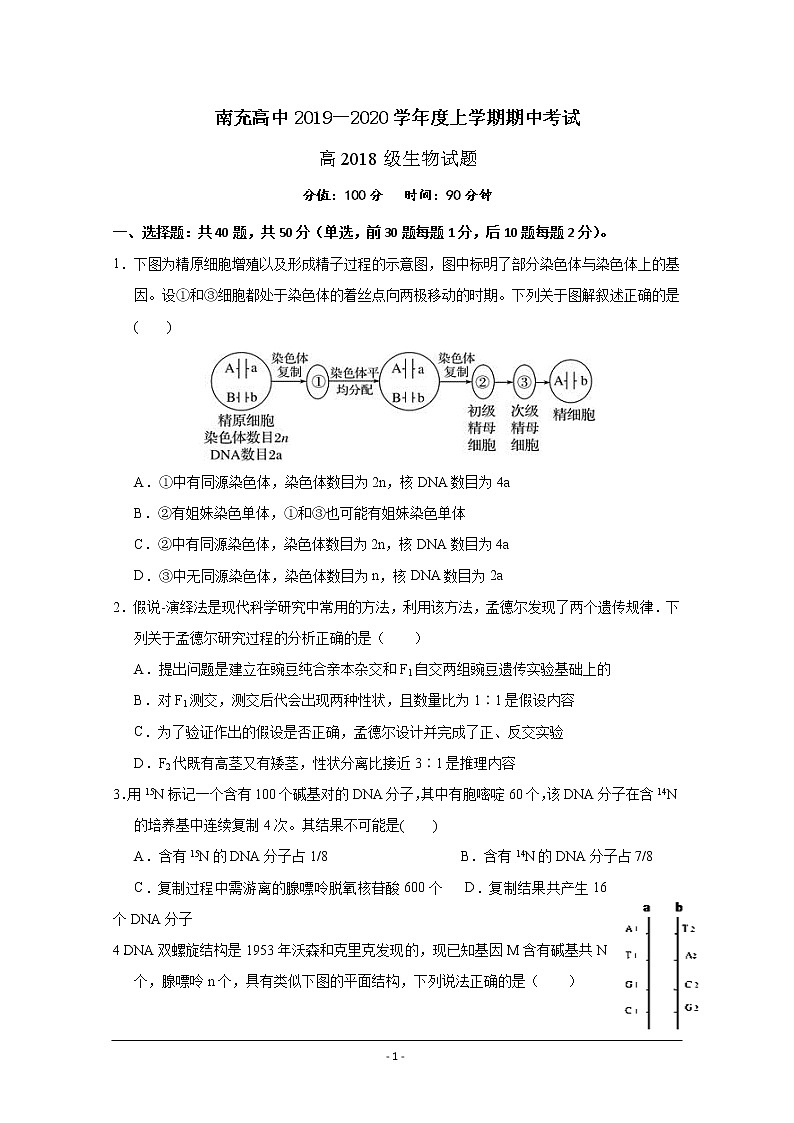 四川省南充高级中学2019-2020学年高二上学期期中考试生物试题第1页