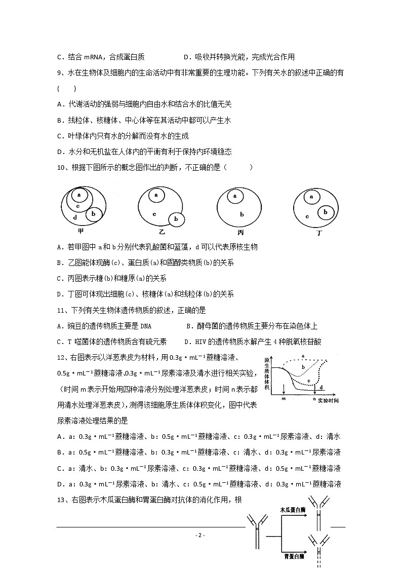 安徽省亳州市第二中学2020届高三上学期第三次月考生物试题02