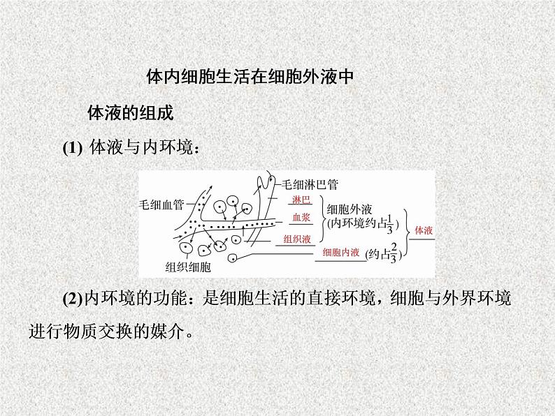 2020年人教版生物高考复习课件：第八单元 第1讲 人体的内环境与稳态04