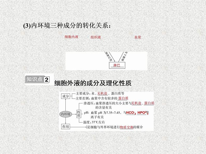 2020年人教版生物高考复习课件：第八单元 第1讲 人体的内环境与稳态05