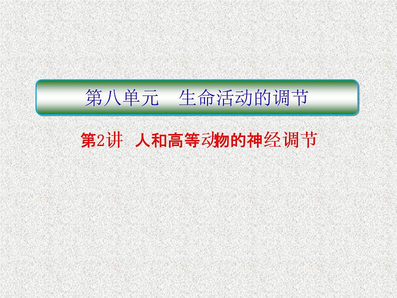 2020年人教版生物高考复习课件：第八单元 第2讲 人和高等动物的神经调节01