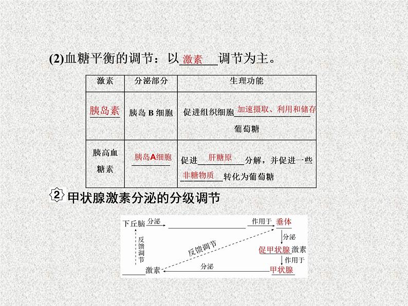 2020年人教版生物高考复习课件：第八单元 第3讲 通过激素的调节08