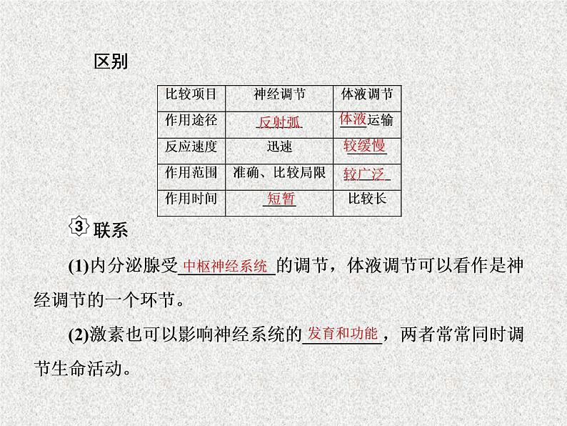 2020年人教版生物高考复习课件：第八单元 第4讲 神经调节与激素调节的关系05