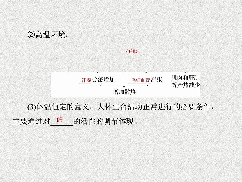 2020年人教版生物高考复习课件：第八单元 第4讲 神经调节与激素调节的关系08