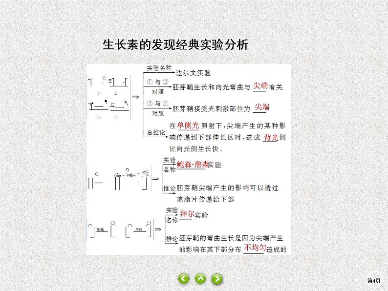 2020年人教版生物高考复习课件：第八单元 第6讲 生长素的发现和生理作用04