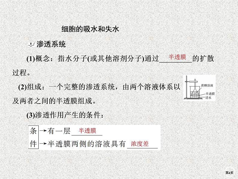 2020年人教版生物高考复习课件：第二单元 第3讲 细胞的物质输入与输出04