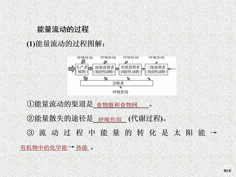 2020年人教版生物高考复习课件：第九单元 第4讲 生态系统的能量流动和物质循环05