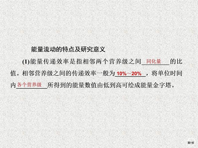 2020年人教版生物高考复习课件：第九单元 第4讲 生态系统的能量流动和物质循环07