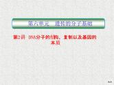 2020年人教版生物高考复习课件：第六单元 第2讲 DNA分子的结构、复制以及基因的本质