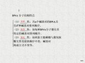2020年人教版生物高考复习课件：第六单元 第2讲 DNA分子的结构、复制以及基因的本质