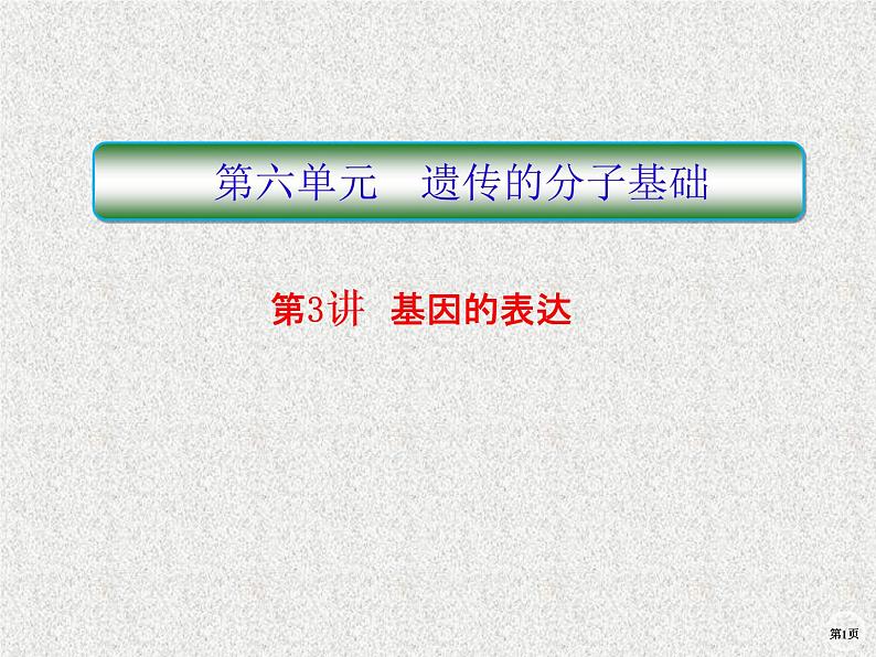 2020年人教版生物高考复习课件：第六单元 第3讲 基因的表达01