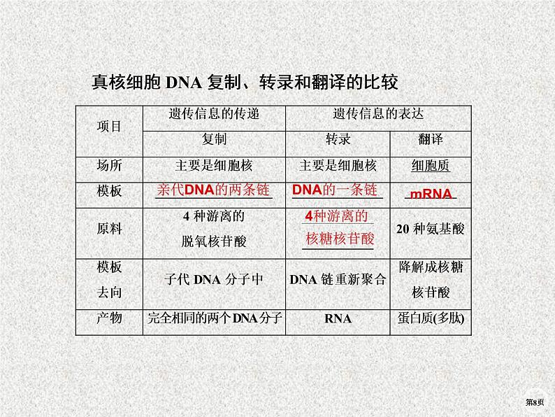 2020年人教版生物高考复习课件：第六单元 第3讲 基因的表达08