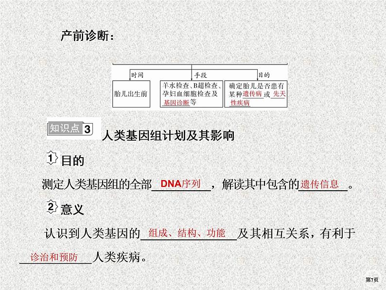 2020年人教版生物高考复习课件：第七单元 第3讲 人类遗传病第7页