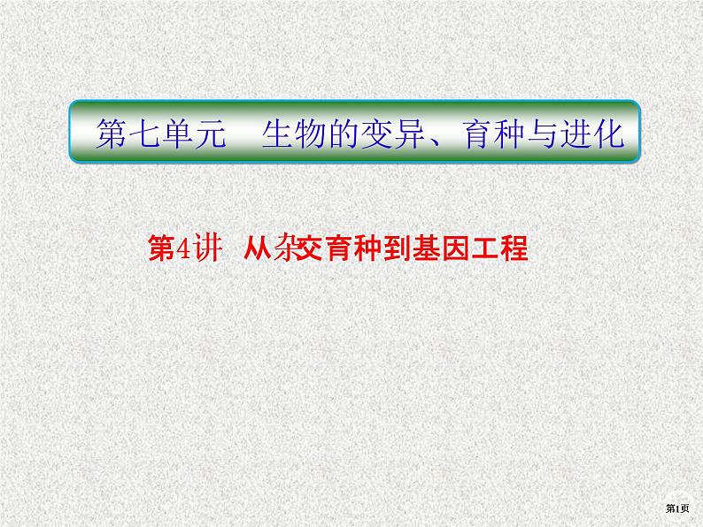 2020年人教版生物高考复习课件：第七单元 第4讲 从杂交育种到基因工程01