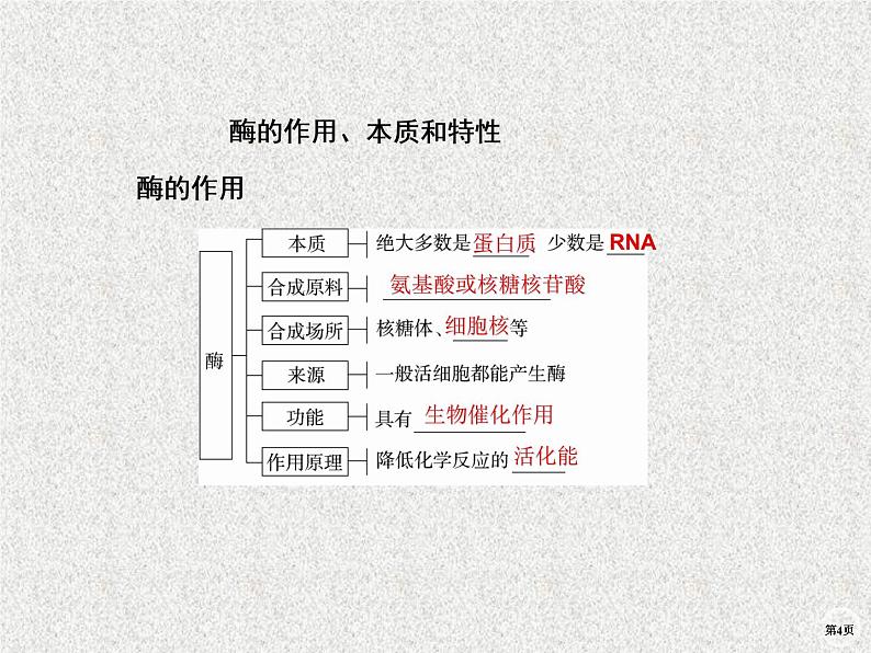 2020年人教版生物高考复习课件：第三单元 第1讲 酶与ATP第4页