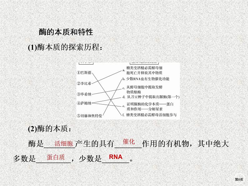 2020年人教版生物高考复习课件：第三单元 第1讲 酶与ATP第5页