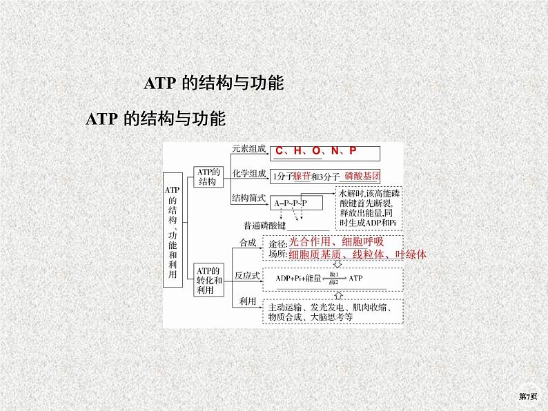 2020年人教版生物高考复习课件：第三单元 第1讲 酶与ATP第7页