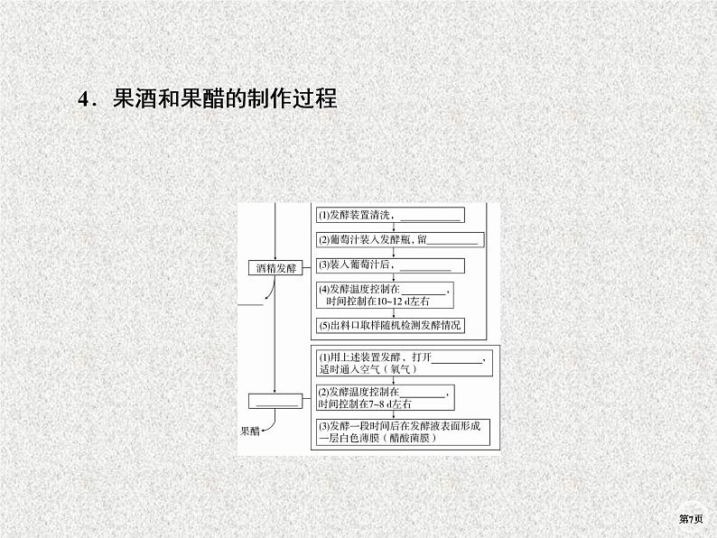 2020年人教版生物高考复习课件：第十单元 第1讲 传统发酵技术第7页