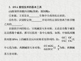 2020年人教版生物高考复习课件：第十一单元 第1讲 基因工程