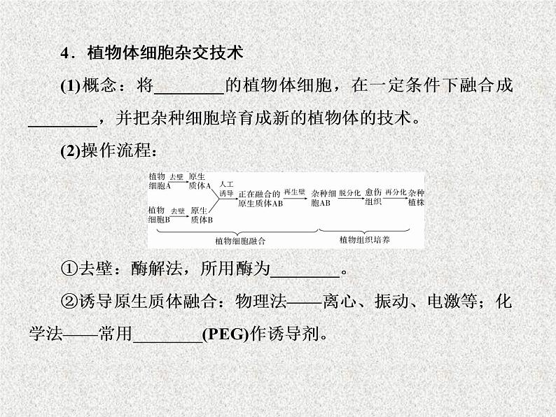 2020年人教版生物高考复习课件：第十一单元 第2讲 细胞工程07