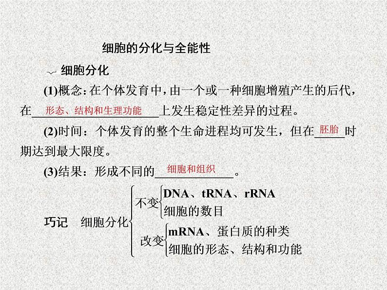 2020年人教版生物高考复习课件：第四单元 第3讲 细胞的分化、衰老、凋亡和癌变04