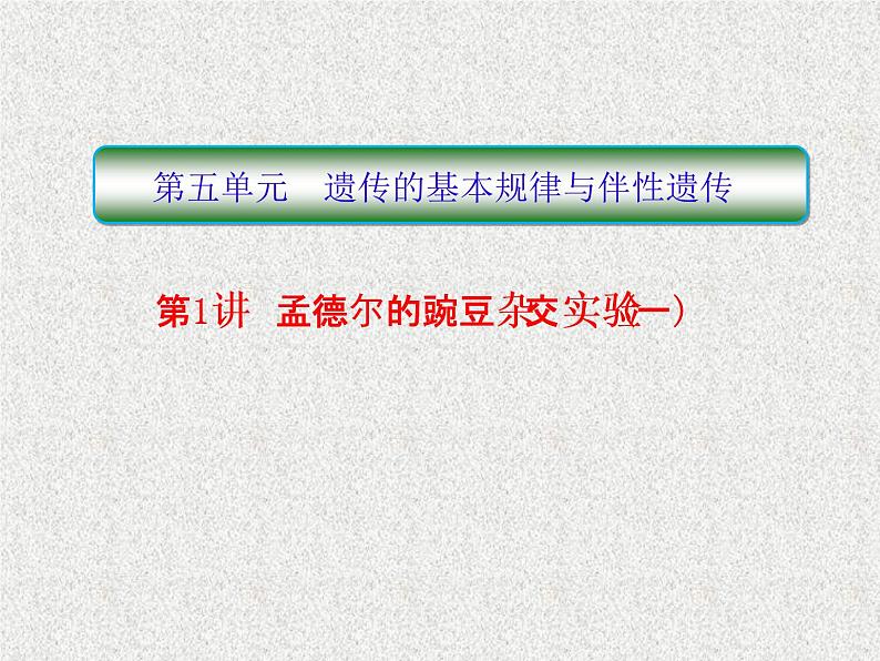 2020年人教版生物高考复习课件：第五单元 第1讲 孟德尔的豌豆杂交实验（一）第1页