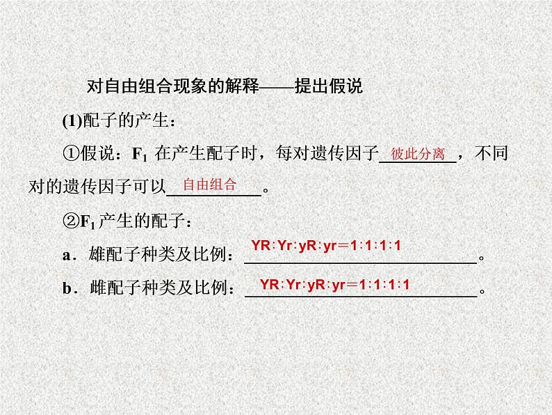 2020年人教版生物高考复习课件：第五单元 第2讲 孟德尔的豌豆杂交实验（二）第5页