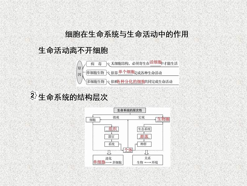 2020年人教版生物高考复习课件：第一单元 第1讲 走进细胞04