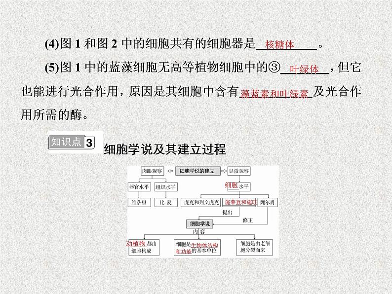 2020年人教版生物高考复习课件：第一单元 第1讲 走进细胞06