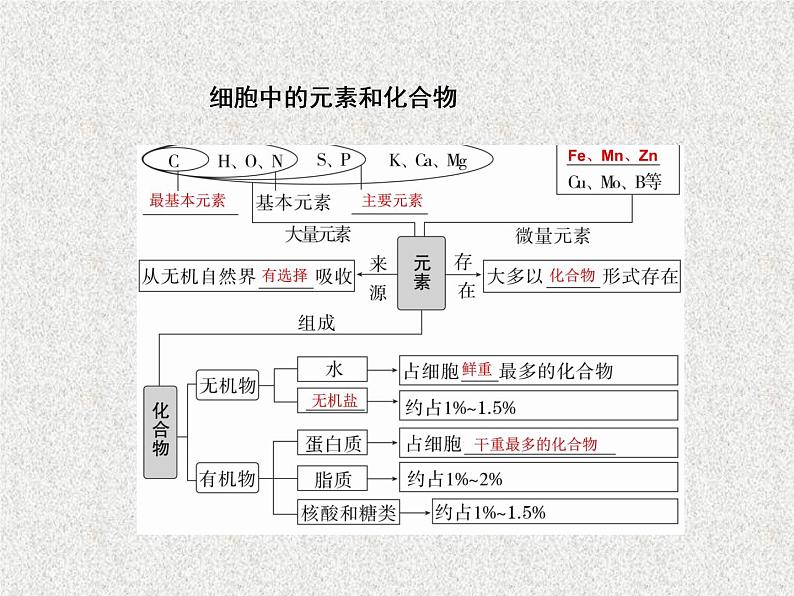 2020年人教版生物高考复习课件：第一单元 第2讲 组成细胞的元素及化合物04