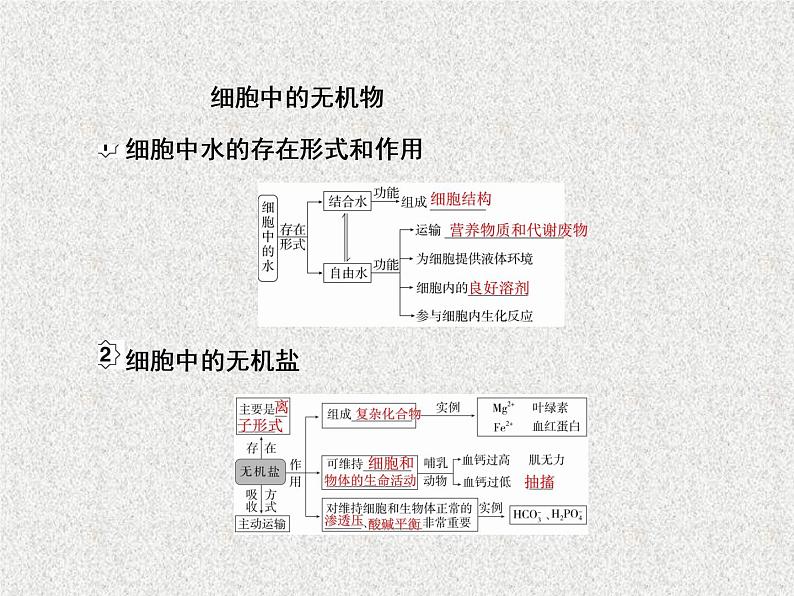 2020年人教版生物高考复习课件：第一单元 第2讲 组成细胞的元素及化合物05