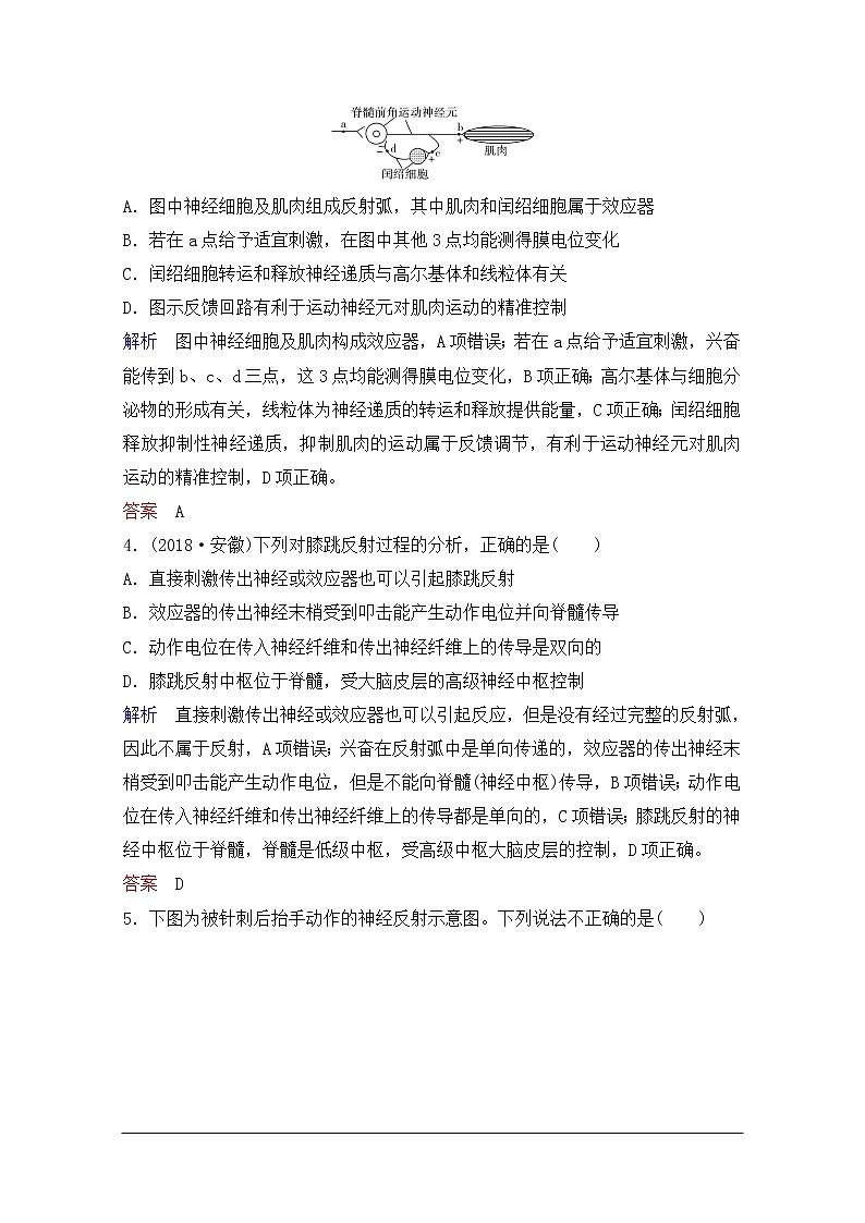 2020年人教版生物高考总复习练习：第八单元 第2讲 人和高等动物的神经调节02