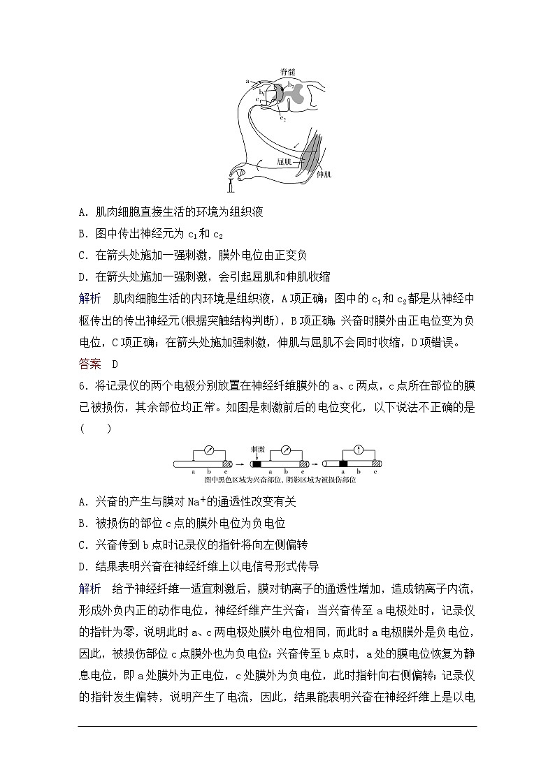 2020年人教版生物高考总复习练习：第八单元 第2讲 人和高等动物的神经调节03