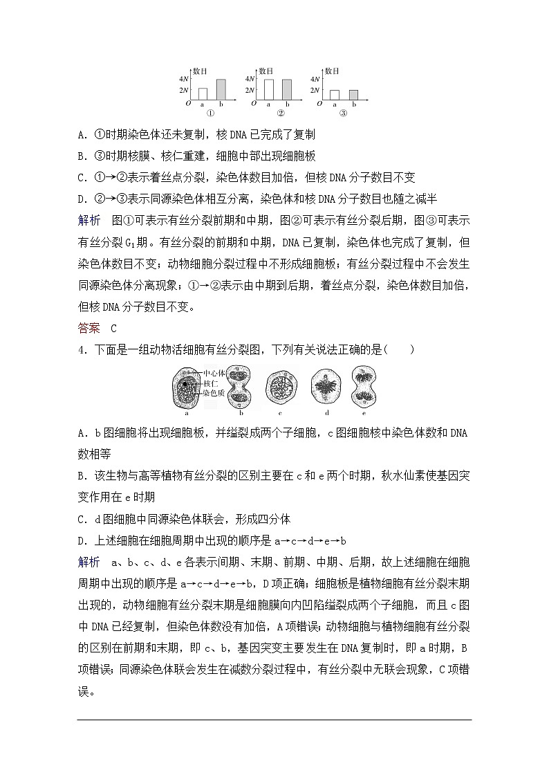 2020年人教版生物高考总复习练习：第四单元 第1讲 细胞的增殖第2页