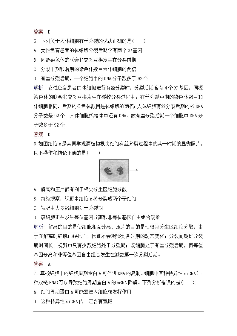 2020年人教版生物高考总复习练习：第四单元 第1讲 细胞的增殖第3页